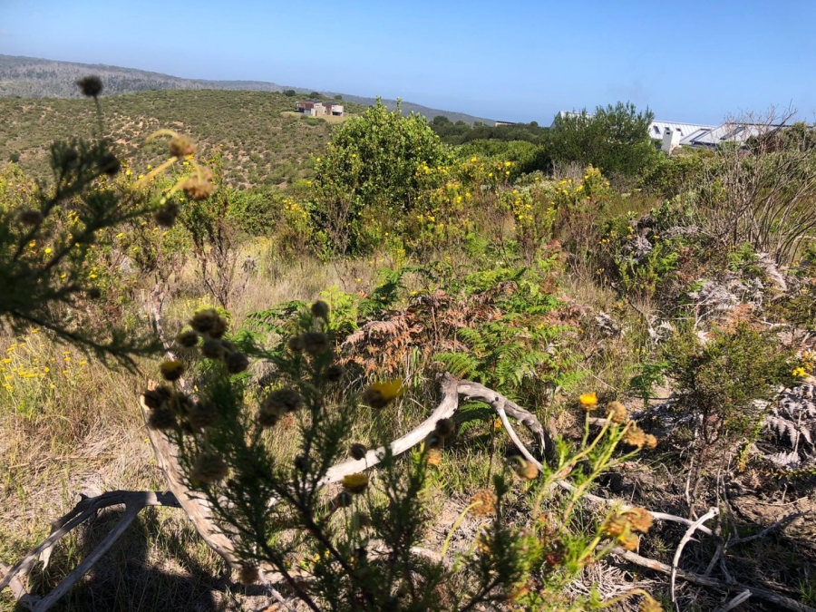  Bedroom Property for Sale in Pezula Private Estate Western Cape